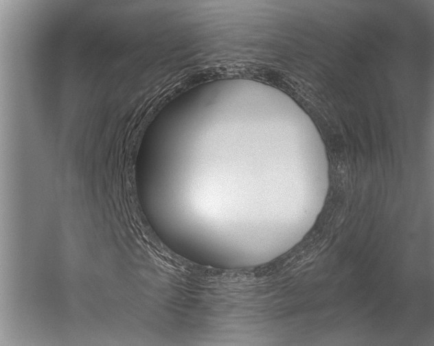 X0000059040865200510070822