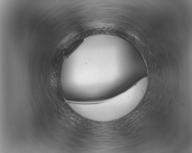 X0000059040869200510070822