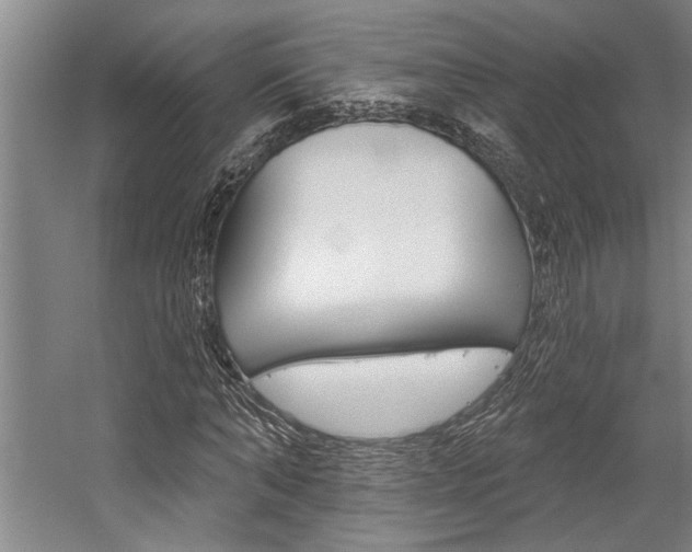 X0000059040870200510070822