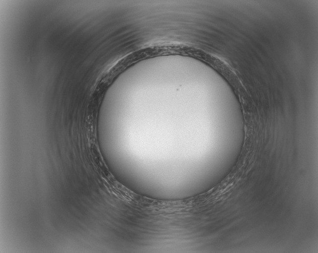 X0000059040871200510070822