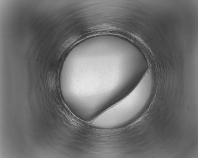 X0000059040873200510070822