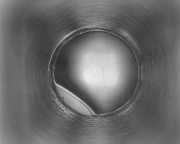 X0000059040876200510070822
