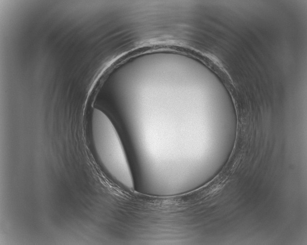 X0000059040879200510070822