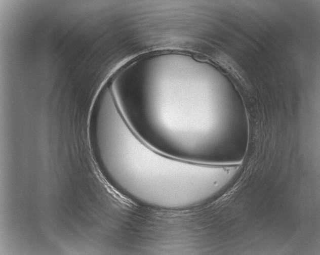 X0000059040884200510070822