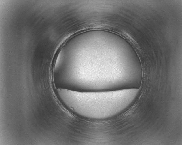 X0000059040891200510070822