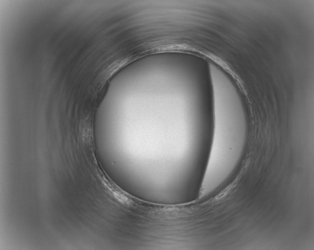 X0000059040897200510070822