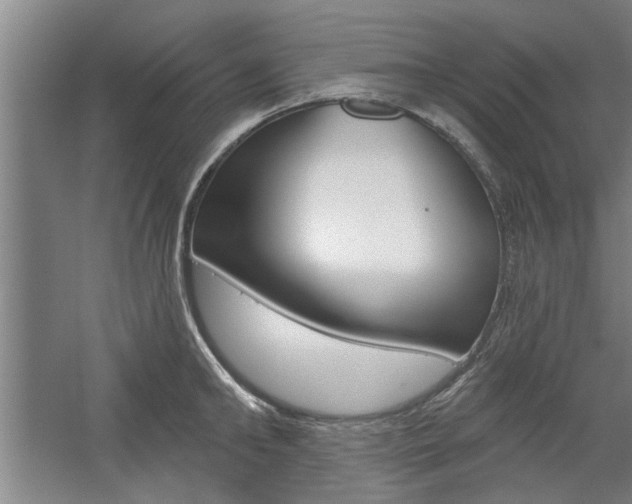 X0000059040902200510070822