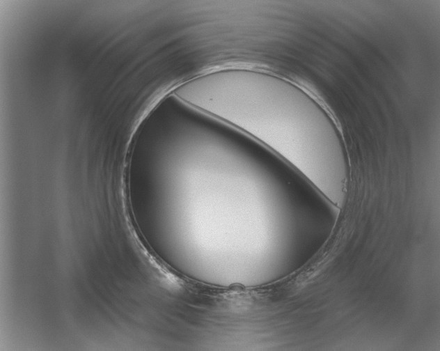 X0000059040906200510070822