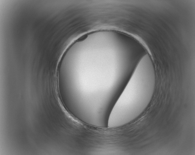 X0000059040911200510070822