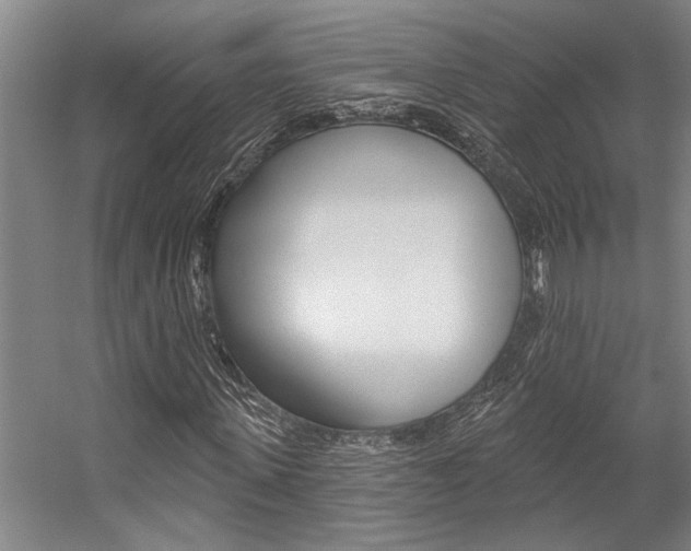 X0000059040915200510070821