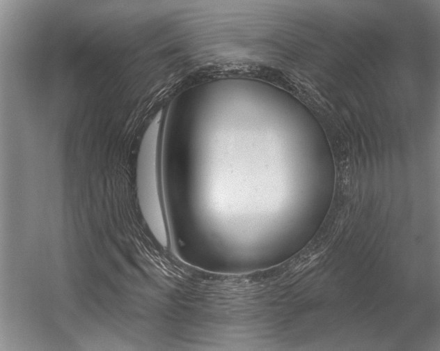 X0000059040916200510070821