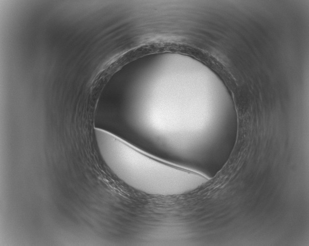 X0000059040919200510070821