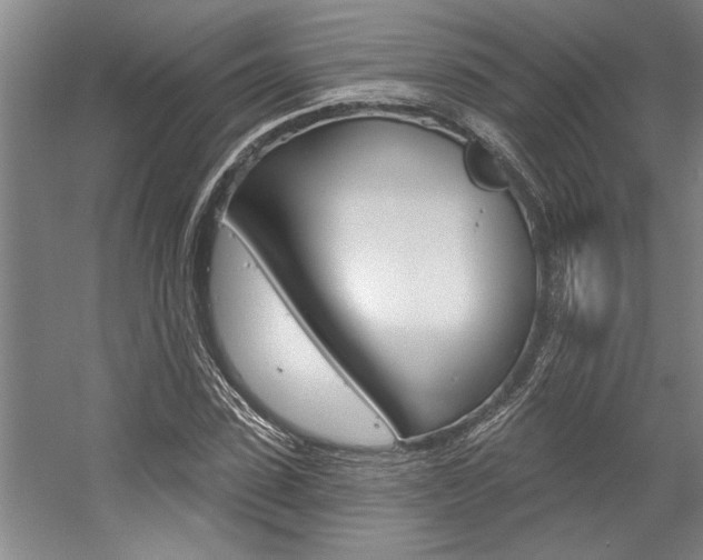 X0000059040923200510070821