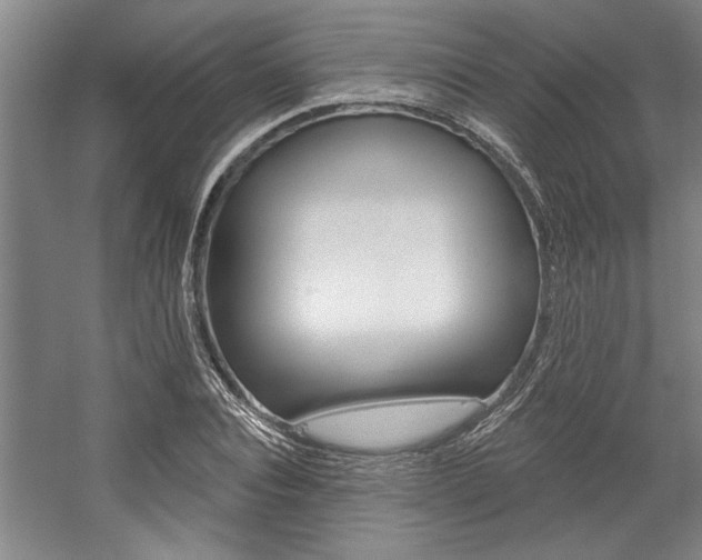 X0000059040928200510070821
