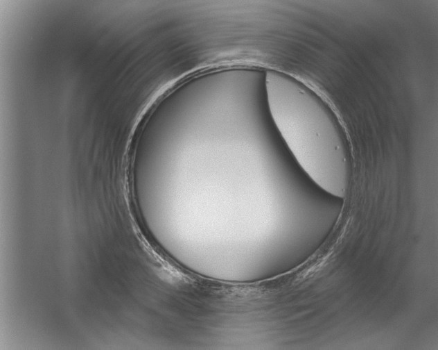 X0000059040941200510070821
