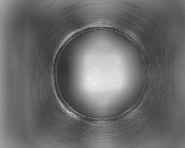 X0000059040942200510070821
