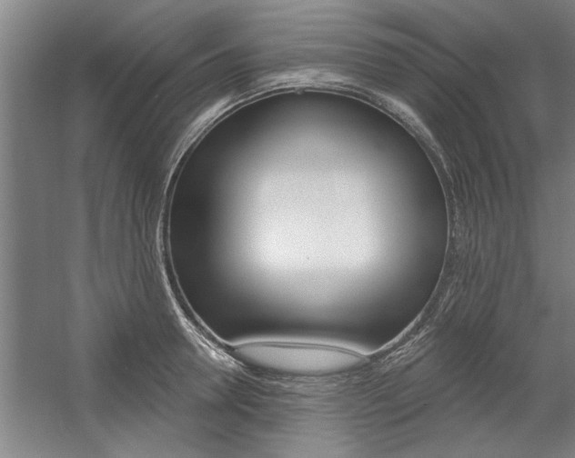 X0000059040946200510070821
