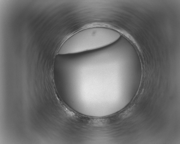 X0000059040953200510070821