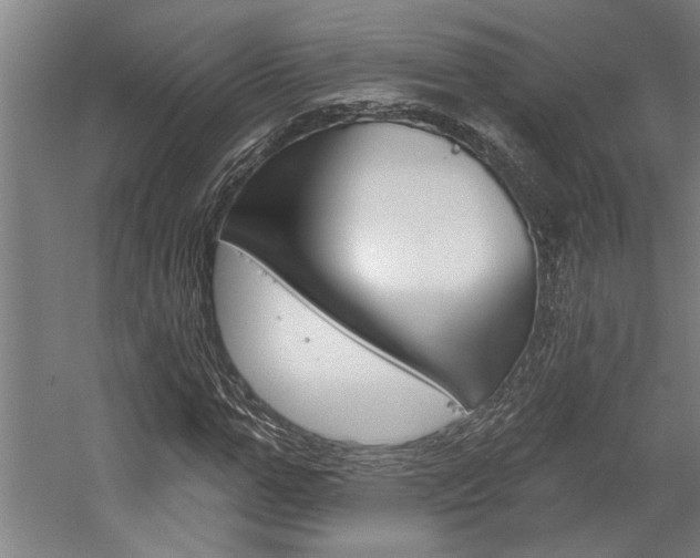 X0000059040967200510070821