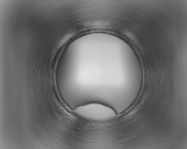 X0000059040970200510070821