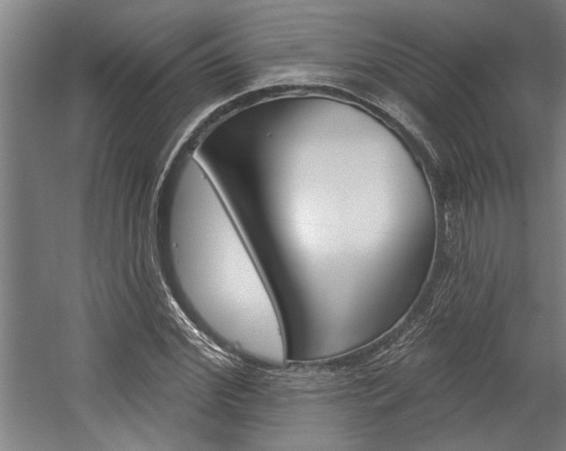 X0000059040972200510070821