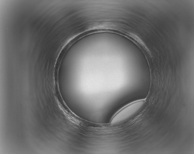 X0000059040980200510070820