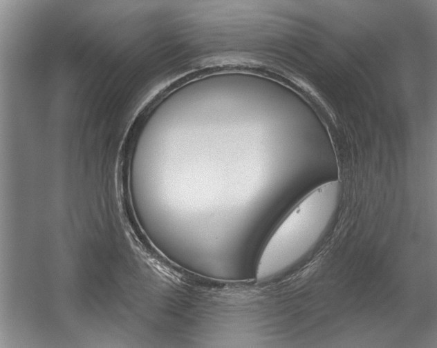 X0000059040983200510070820
