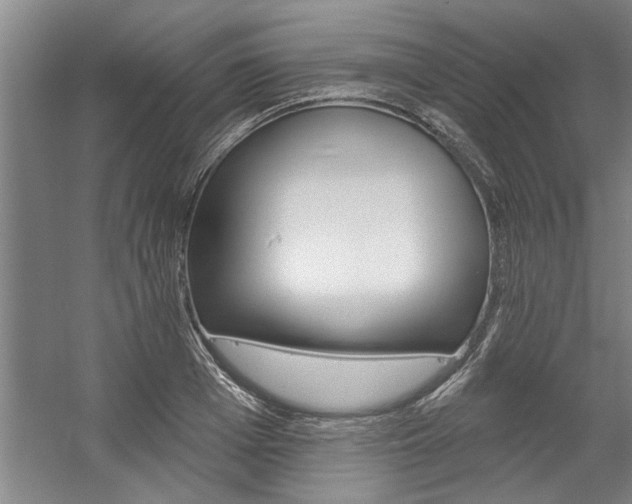 X0000059040985200510070820