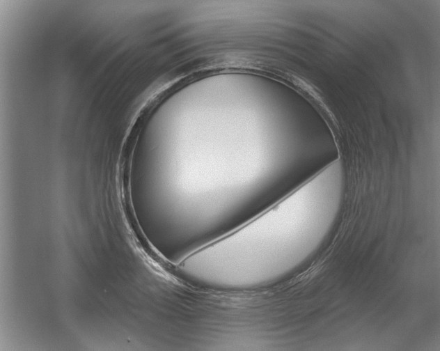 X0000059040987200510070820