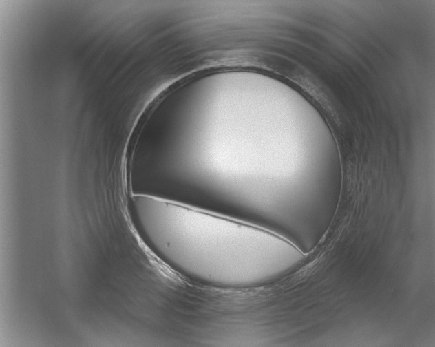 X0000059040988200510070820