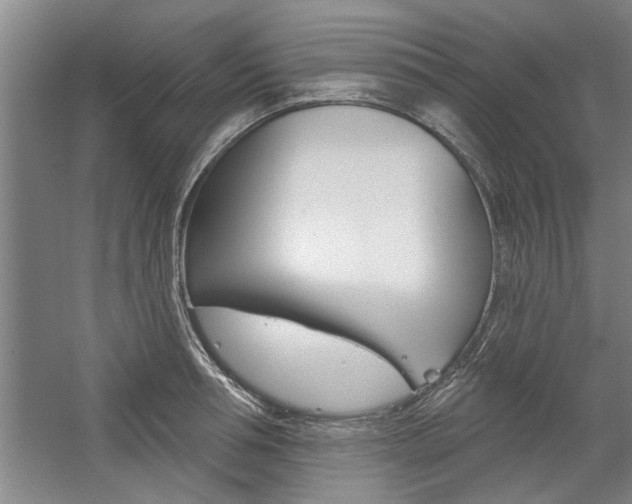 X0000059040994200510070820