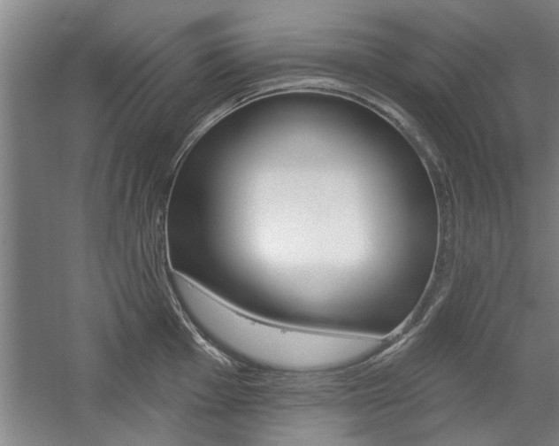 X0000059041001200510070820