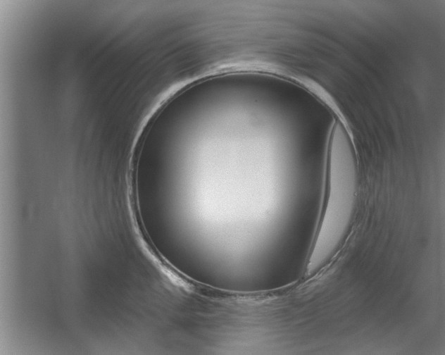 X0000059041005200510070820