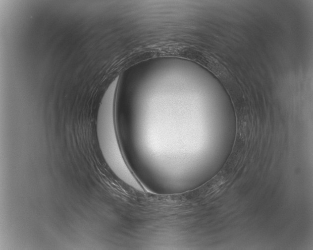 X0000059041010200510070819