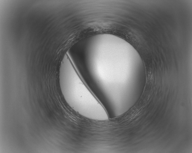 X0000059041012200510070819