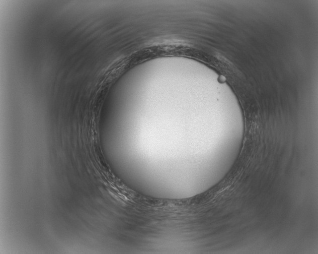 X0000059041014200510070819