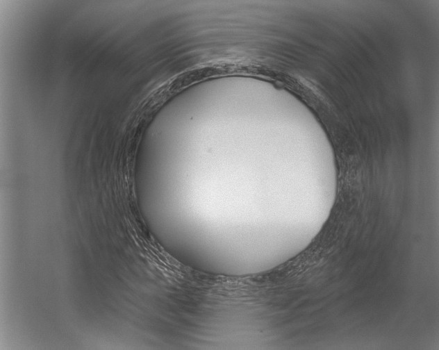 X0000059041015200510070819