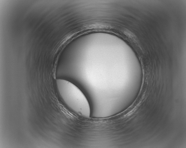 X0000059041017200510070819