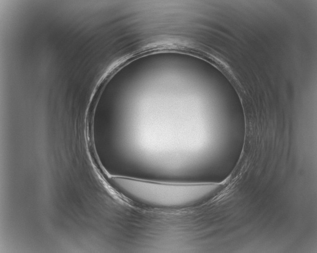 X0000059041034200510070820