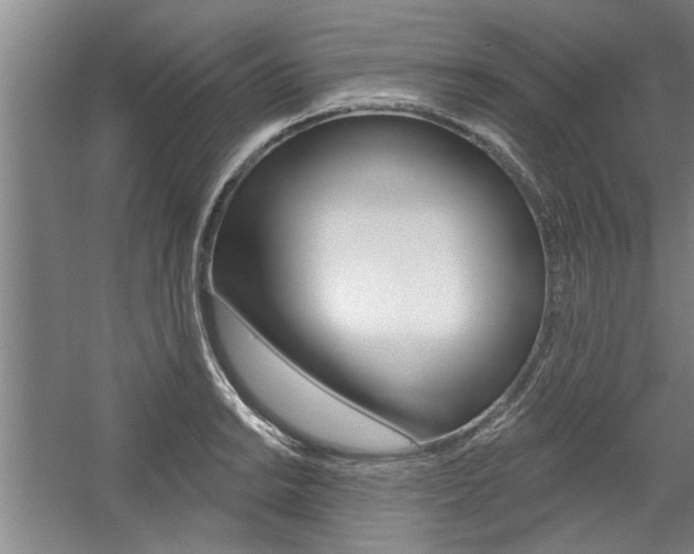 X0000059041038200510070820