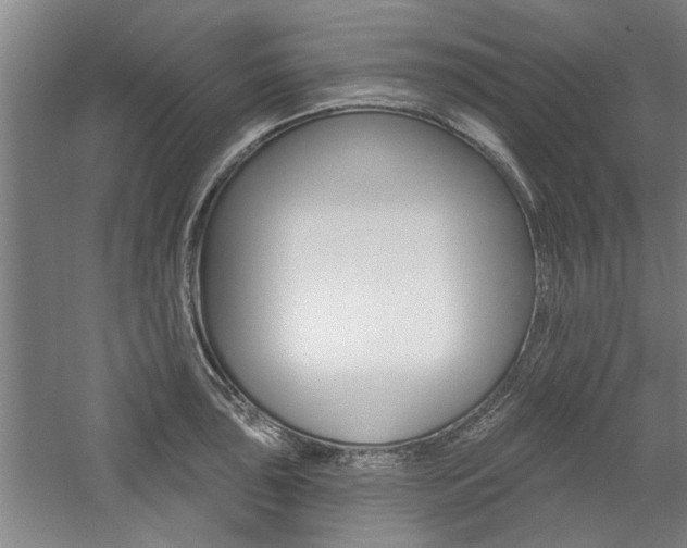 X0000059041043200510070820