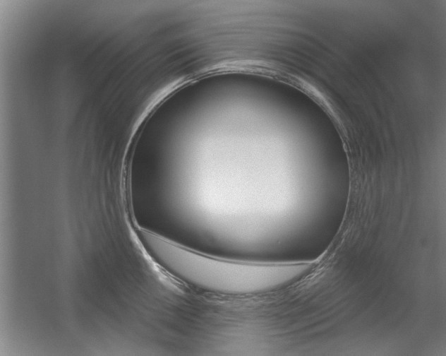X0000059041050200510070820