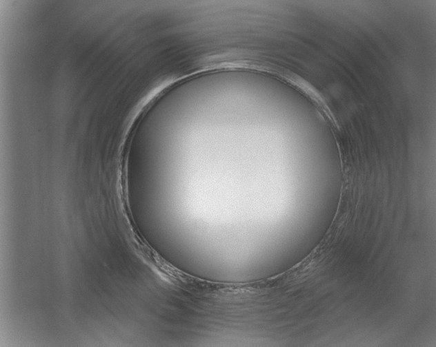 X0000059041051200510070820