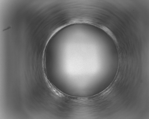 X0000059041052200510070820