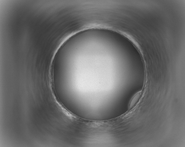 X0000059041056200510070820