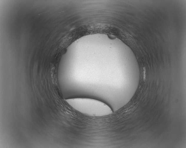 X0000059041059200510070819