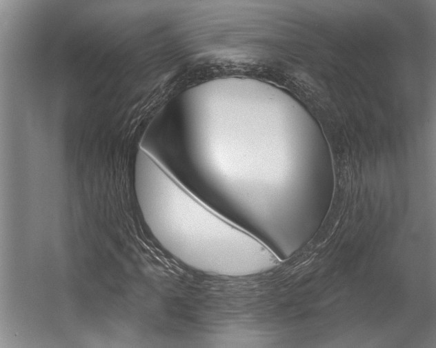 X0000059041061200510070819