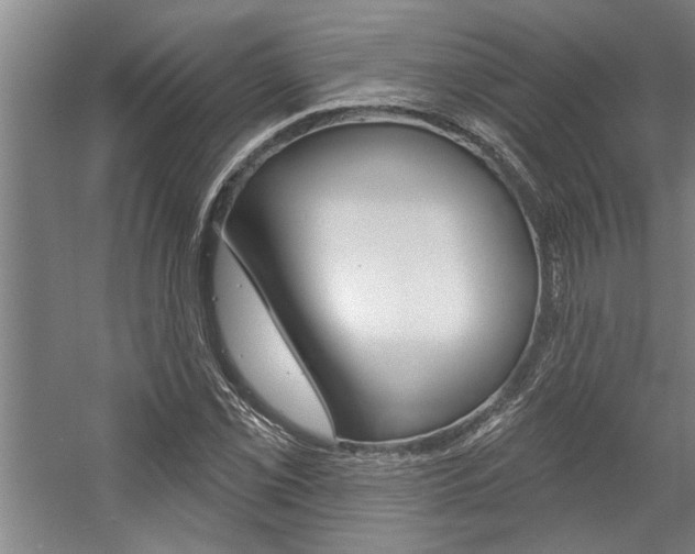 X0000059041069200510070819