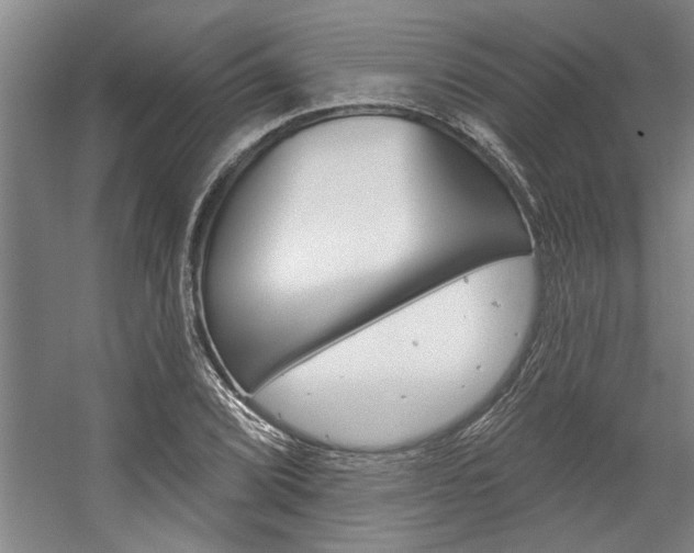 X0000059041072200510070819