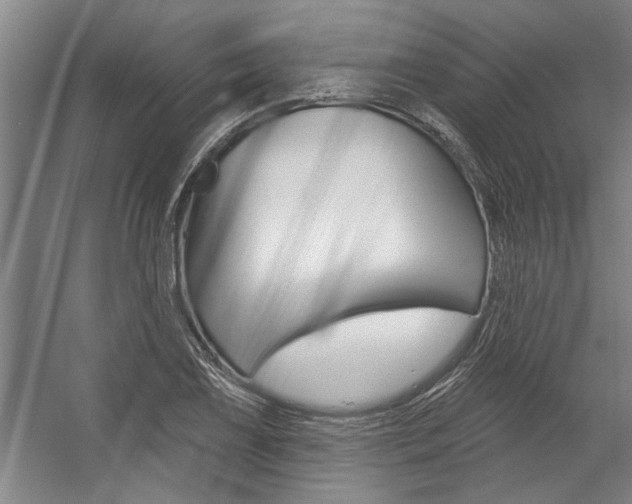 X0000059041075200510070819
